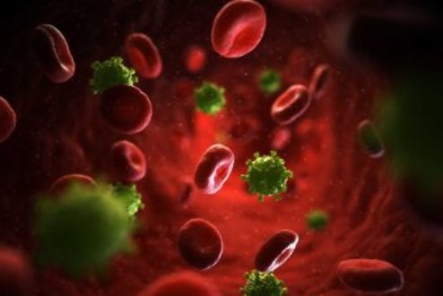 Virus HIV
