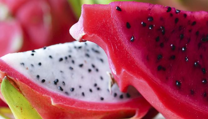 Ilustrasi Buah Naga | iStock